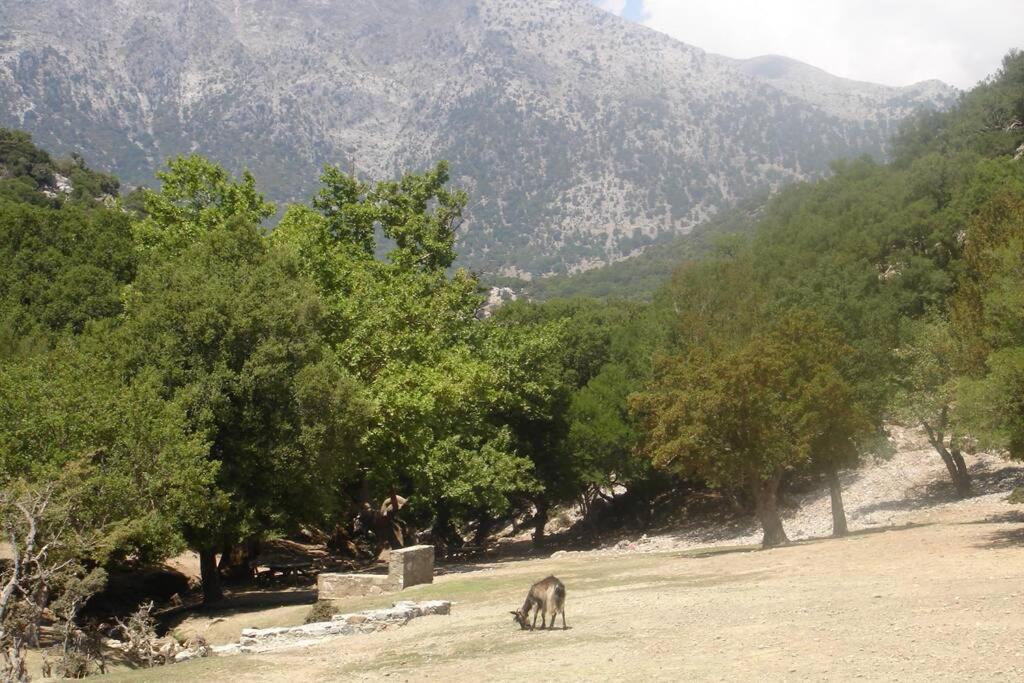 Villa Strata Kardhamiana Exterior foto